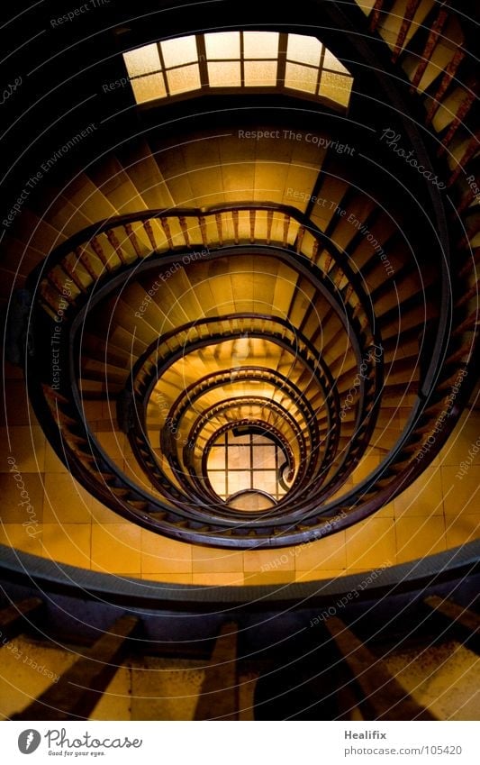 downstairs House (Residential Structure) High-rise Manmade structures Building Architecture Stairs Window Staircase (Hallway) Old Dark Elegant Historic Brown