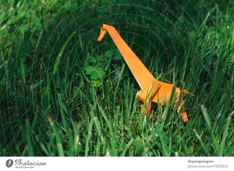 Origami orange color giraffe Design Joy Playing Vacation & Travel Tourism Safari Decoration Craft (trade) Art Zoo Nature Animal Park Meadow Paper Toys Natural