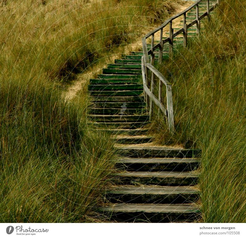 silent Ocean Lake Wood Green Grass Nature Beach Curved Nail Coast Earth Sand North Sea Beach dune Stairs Lanes & trails Upward Handrail Target Where to? mare