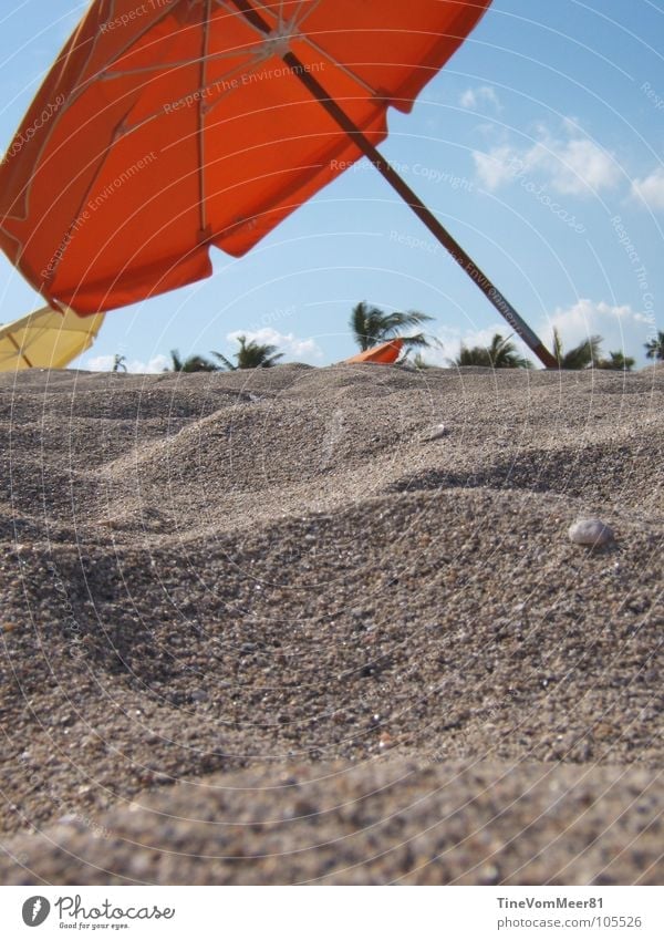 Miami Dreams Sunshade Beach Summer Red Vacation & Travel Relaxation Coast USA Sand Free