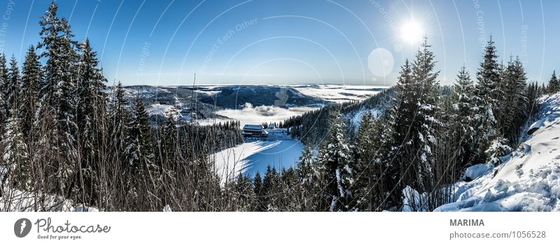 winter hike in the northern Black Forest on a sunny day Calm Tourism Sun Winter Mountain Environment Nature Landscape Clouds Tree Hill Cold Gray White