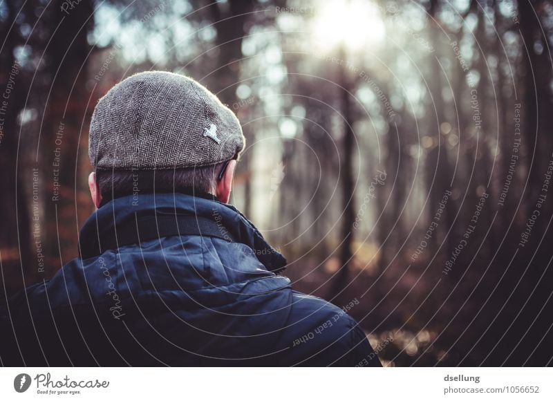 Back of a man looking into the forest and enjoying the sun Lifestyle Human being Masculine Man Adults Head 1 18 - 30 years Youth (Young adults) Forest Jacket