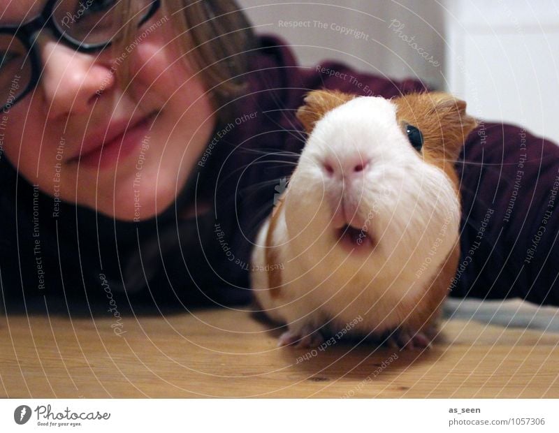 First let´s take a selfie! Girl 1 Human being 8 - 13 years Child Infancy 13 - 18 years Youth (Young adults) Animal Pet Animal face Zoo Petting zoo Guinea pig