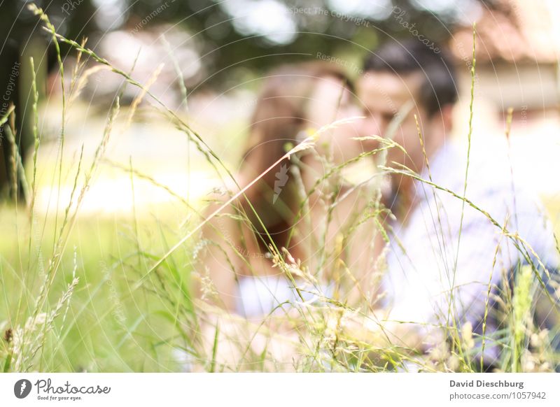 meadow romanticism Masculine Feminine Young woman Youth (Young adults) Young man Woman Adults Man Couple Partner 2 Human being 18 - 30 years Nature Spring