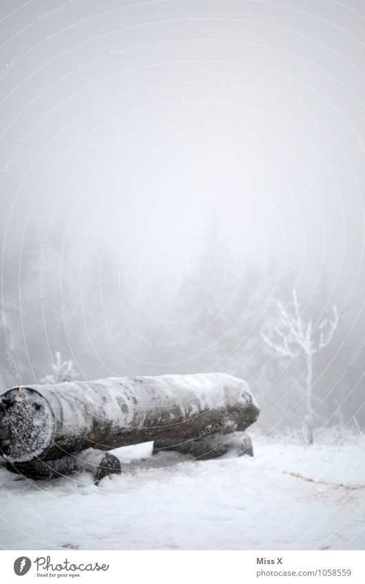 Cold in the forest Environment Nature Winter Weather Bad weather Fog Ice Frost Snow Snowfall Forest Wood Old Park bench Winter vacation Winter mood Hiking