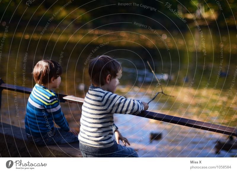 autumn day Human being Child Toddler Brothers and sisters Friendship 3 - 8 years Infancy Autumn Park Pond Lake Autumnal Colour photo Exterior shot