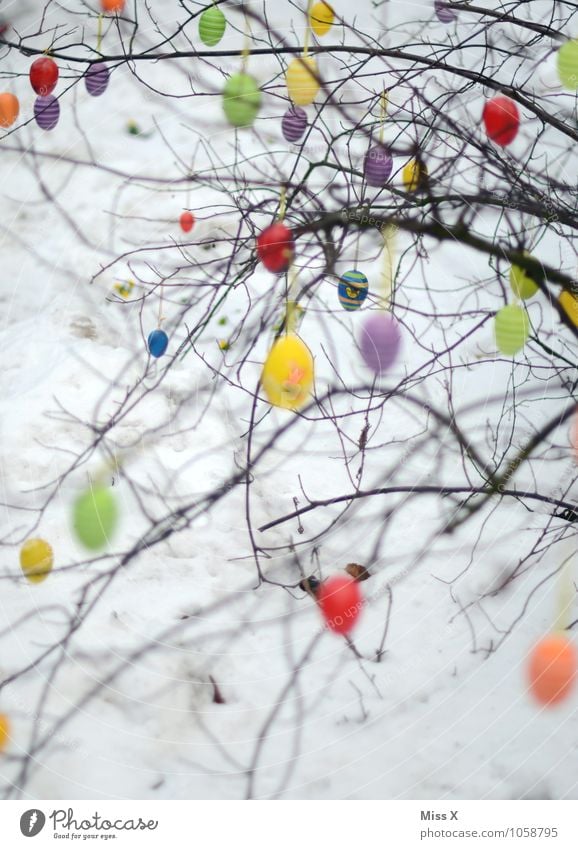 Many eggs Decoration Easter Sky Spring Tree Hang Multicoloured Easter egg Bushes Branch Twig Twigs and branches Colour photo Pattern Deserted Copy Space bottom
