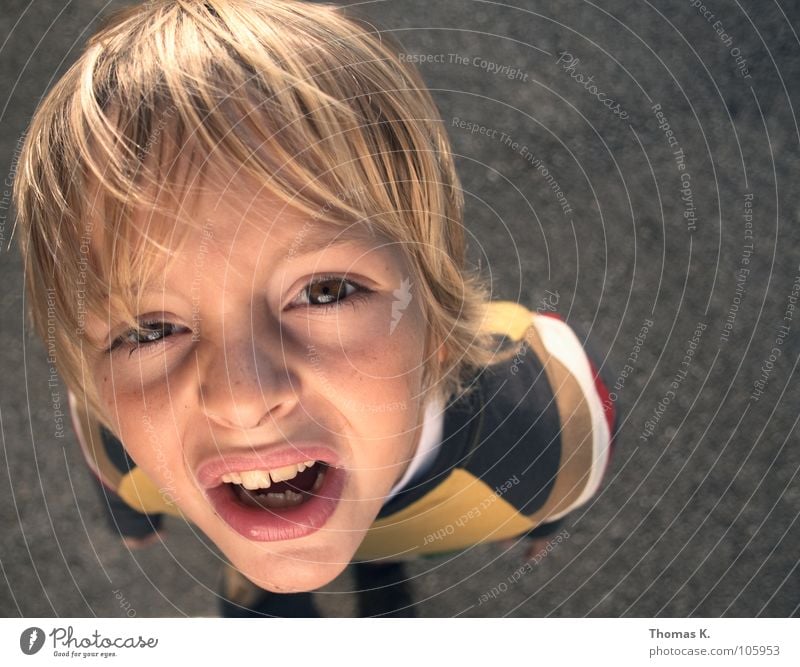 What? Child Boy (child) Playing Summer Ask Portrait photograph Facial expression Student Looking Above Perspective Face Schoolchild Wind Teeth