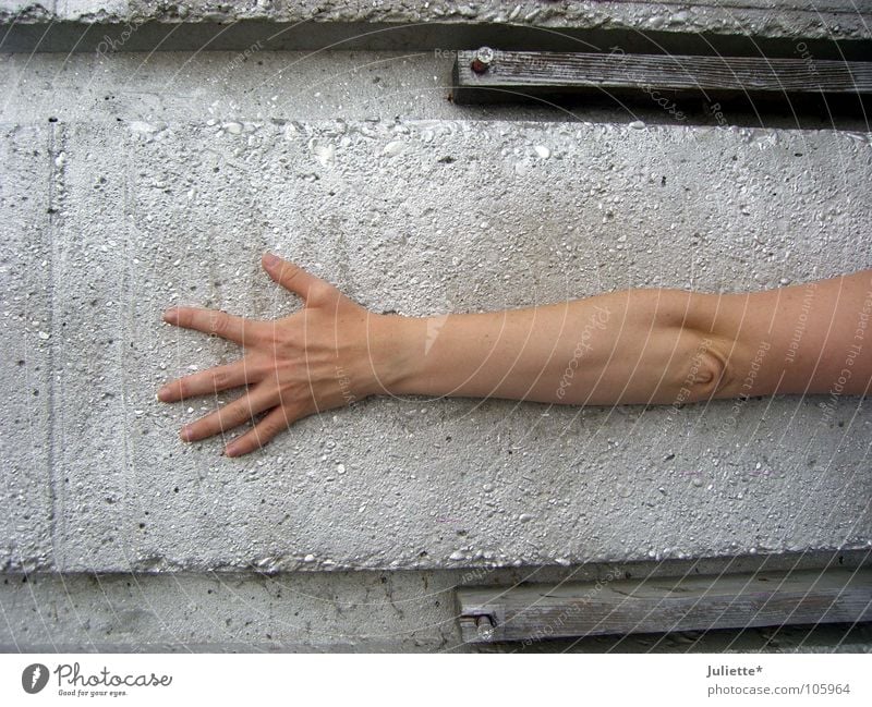 LONG ARM Fingers Encompass Concrete Long Ring finger Middle finger Forefinger Thumb Hand Extreme sports Graffiti Mural painting Funsport Arm Little finger