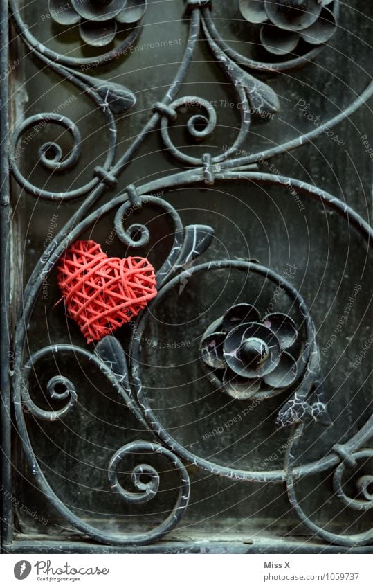 engulfments Decoration Flirt Valentine's Day Flower Rose Blossom Facade Door Kitsch Odds and ends Metal Rust Heart Red Emotions Moody Love Infatuation Romance