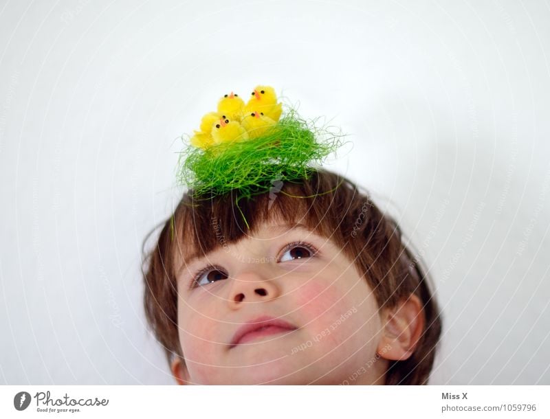 headdress Easter Human being Child Toddler Head 1 1 - 3 years 3 - 8 years Infancy Hat Bird Group of animals Baby animal Funny Emotions Moody Love of animals