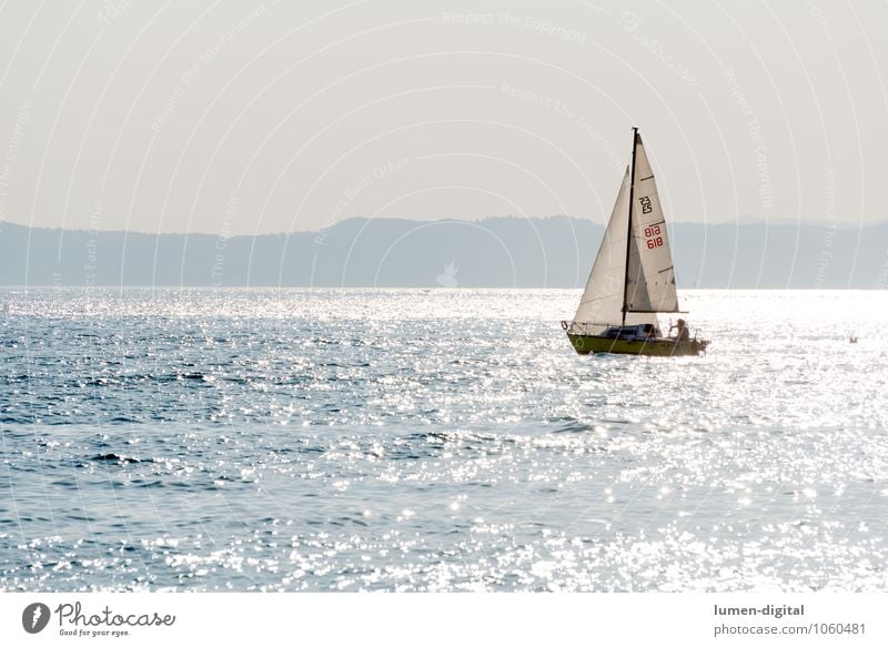 Sailboat on a lake in the back light Sun Island Waves Aquatics Sailing Coast Lakeside Beach Yacht Watercraft Glittering Action Lake Garda Exterior shot