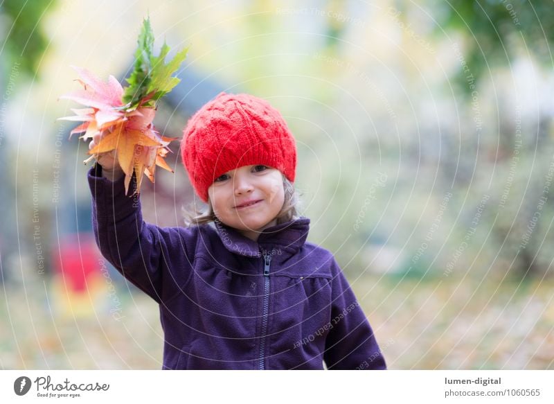 Child waves with leaves Girl Infancy 1 Human being 1 - 3 years Toddler Autumn Leaf Cap Laughter Friendliness Happiness Salutation Autumn leaves Wave