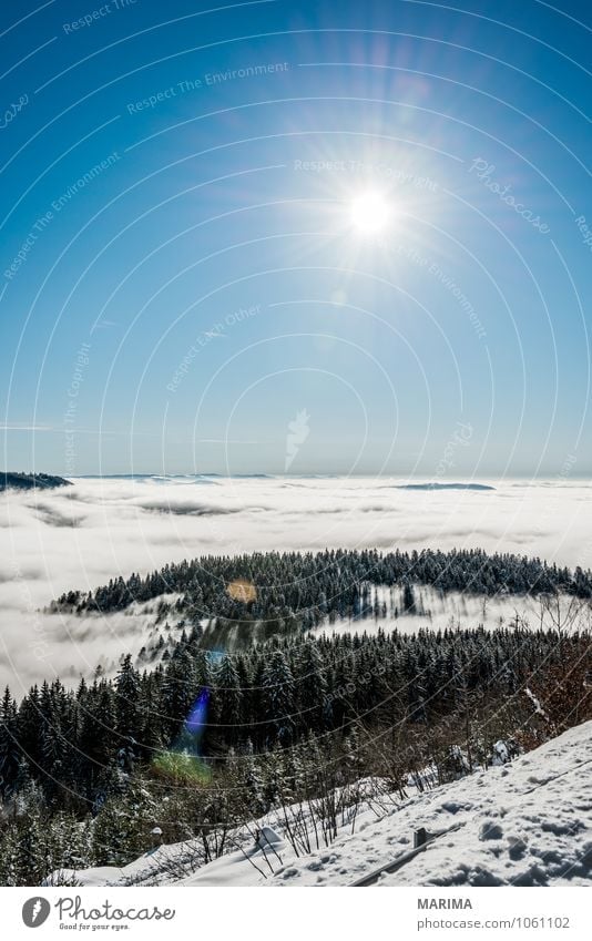 winter hike in the northern Black Forest on a sunny day Calm Tourism Sun Winter Mountain Environment Nature Landscape Clouds Tree Hill Cold Gray White