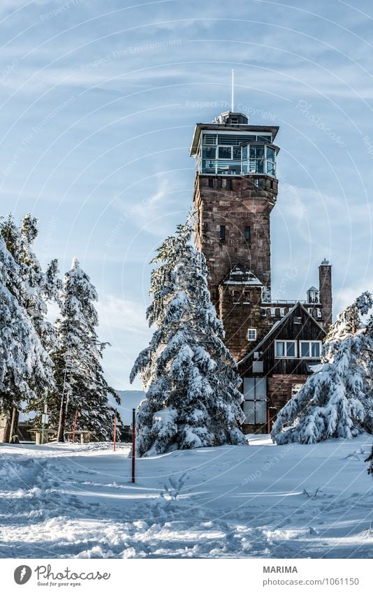 winter hike in the northern Black Forest on a sunny day Calm Tourism Winter Mountain Environment Nature Landscape Clouds Tree Hill Lanes & trails Cold Gray