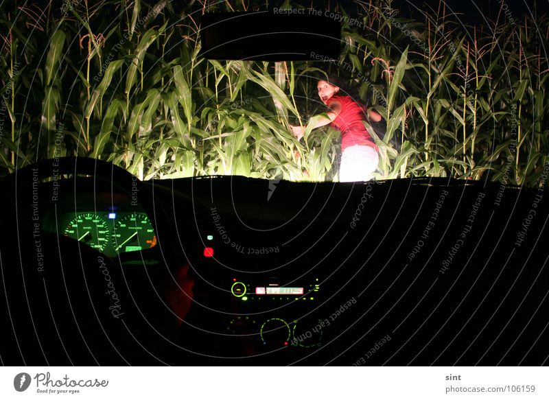 hunting Night Maize field Woman Light Driving Heat Steering wheel Speedometer Fear Panic Transport Hunting Car Lawn Radio (broadcasting) female drive