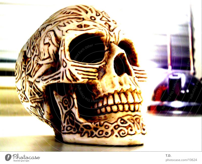 bony ashtray Ashtray Paddle Thin Skeleton Obscure Death's head