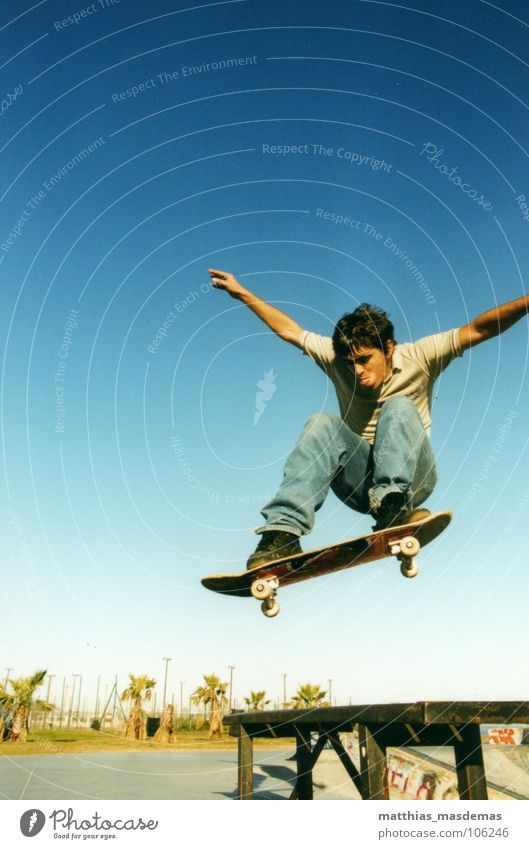 Montevideo Skate Park (Uruguay) Joy Contentment Sports Aviation Arm Horizon Movement Flying Jump Speed Sports ground South America Palm tree Wooden bench