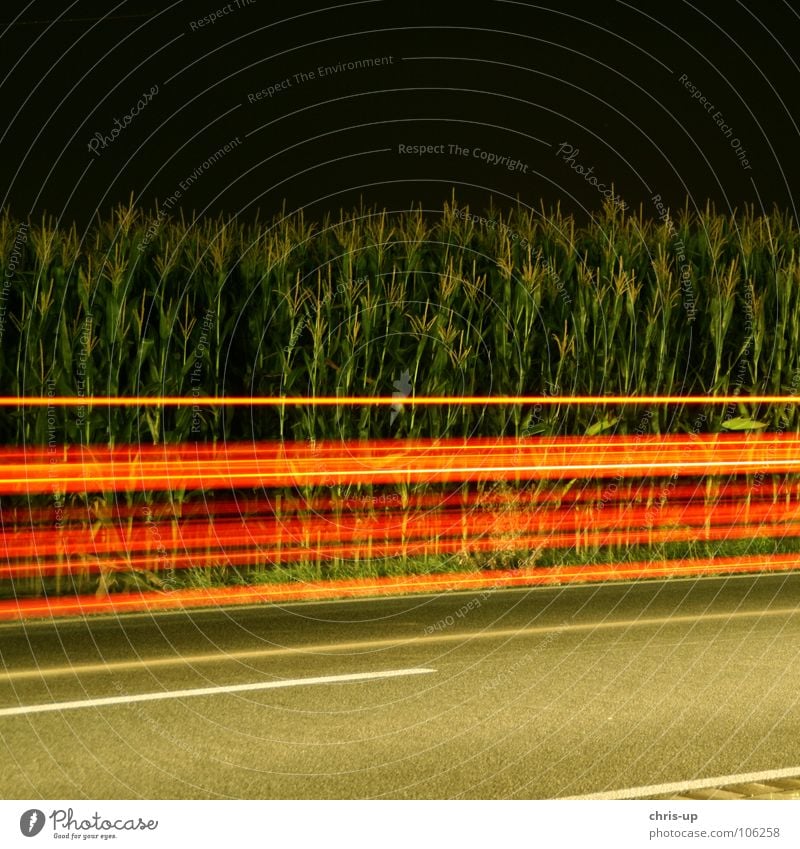 Red stripes Long exposure Stripe Green Night Dark Maize field Asphalt Light Exposure Country road Motoring Blur Transport Strip of light Visual spectacle Speed