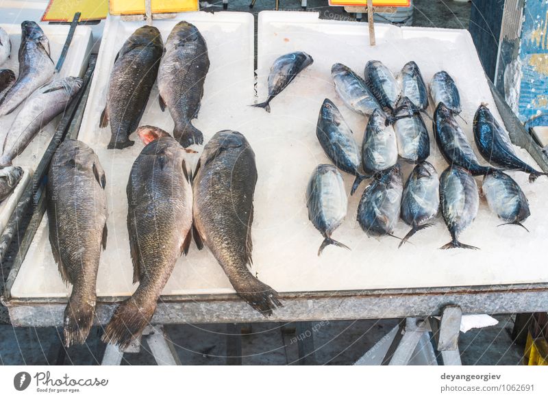 Fish on ice in the market. Seafood Shopping Industry Animal Sell Fresh Delicious Frozen Raw Storage Sale Salmon Protein dieting uncooked Colour photo