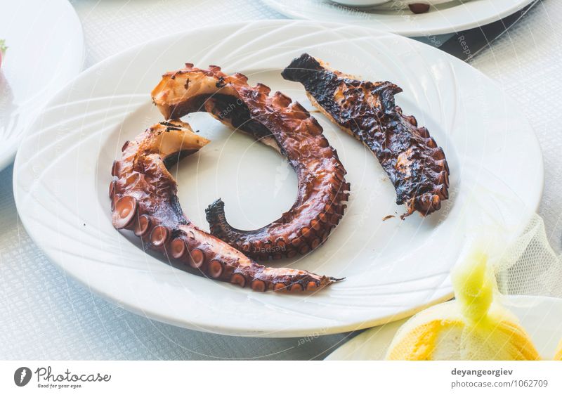 Octopus in a Greek restaurant. White table. Seafood Lunch Dinner Diet Plate Table Restaurant Culture Animal Simple Delicious Lemon Salad Greece Meal Gourmet