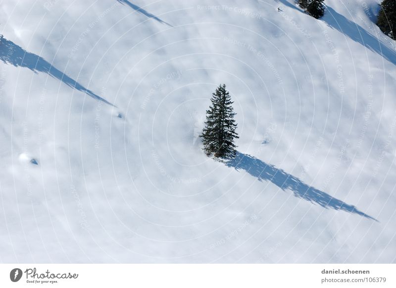 o fir tree ... White Tree Vacation & Travel Winter vacation Black Forest Deep snow Powder snow Fir tree Hiking Gray Mysterious Unclear Skier Illuminating