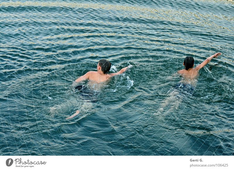 friends Refreshment Lake Surface of water Inject Splash of water Cold Fresh Sports Swimming Swimmer (professional sportsman) Summer Upper body Wet Emerge Ocean