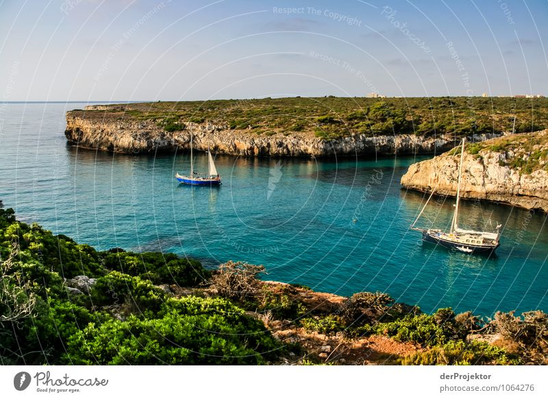 Mallorca from its beautiful side 47 - bay with boats Vacation & Travel Tourism Trip Adventure Far-off places Freedom Summer vacation Environment Nature