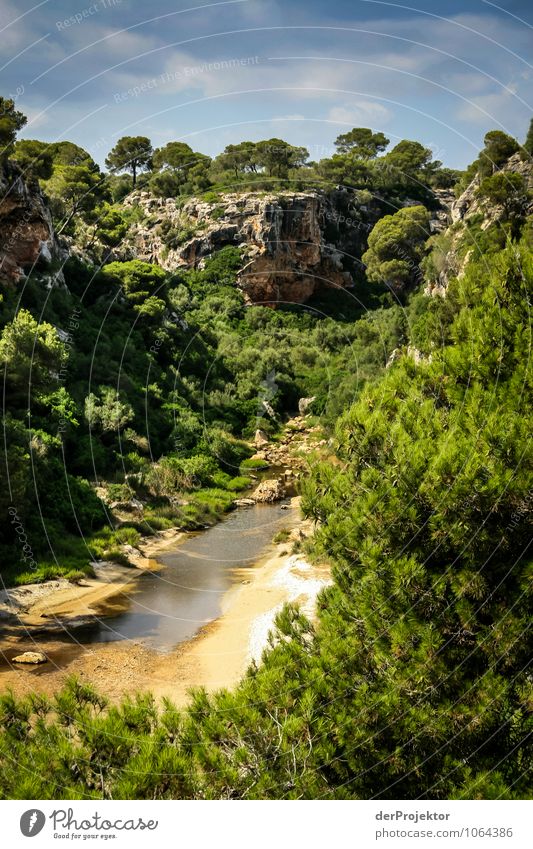 Mallorca from its most beautiful side 42 - Lonely gorge Vacation & Travel Tourism Trip Adventure Expedition Summer vacation Environment Nature Landscape Plant