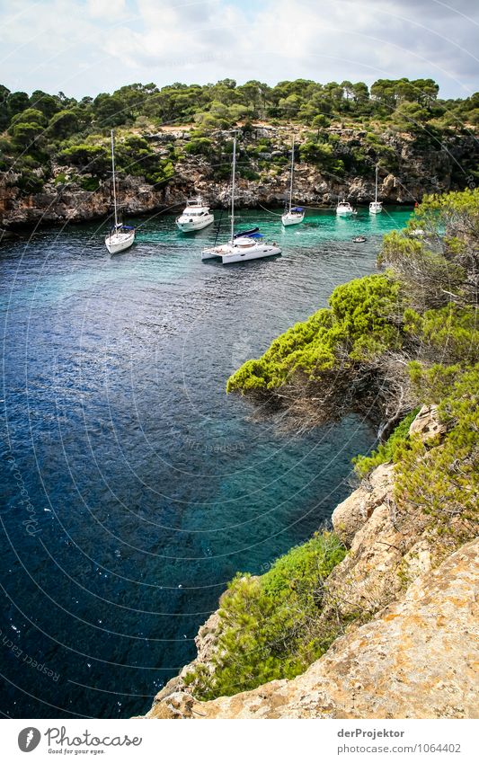 Mallorca from its beautiful side 68 - bay with sailing boats Leisure and hobbies Vacation & Travel Tourism Trip Adventure Far-off places Freedom Cruise