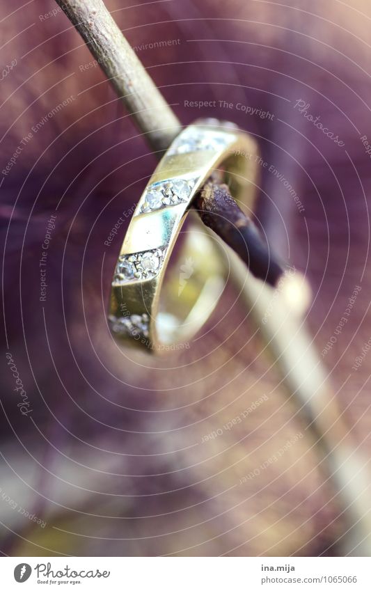 O Accessory Jewellery Ring Wood Gold Sign Glittering Sympathy Together Love Infatuation Loyalty Peace Love affair Lovesickness Display of affection