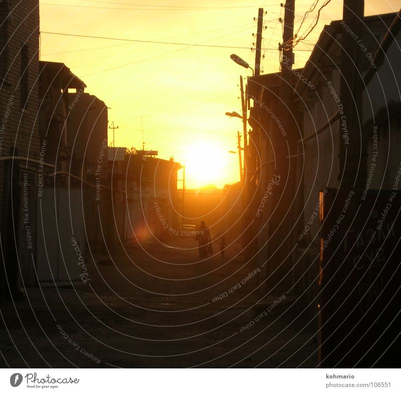 HOME WAY Sunset Back-light Alley Uzbekistan House (Residential Structure) Transmission lines To go for a walk Exterior shot Peace Warmth Street Happy Orange