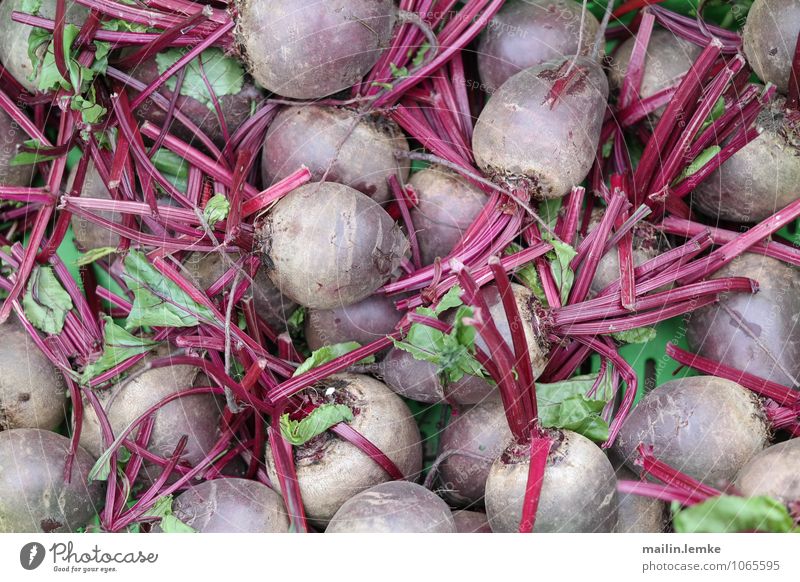 beetroot Red beet Root Root vegetable Healthy Large Above Original Green Colour photo Multicoloured Exterior shot Day Shallow depth of field