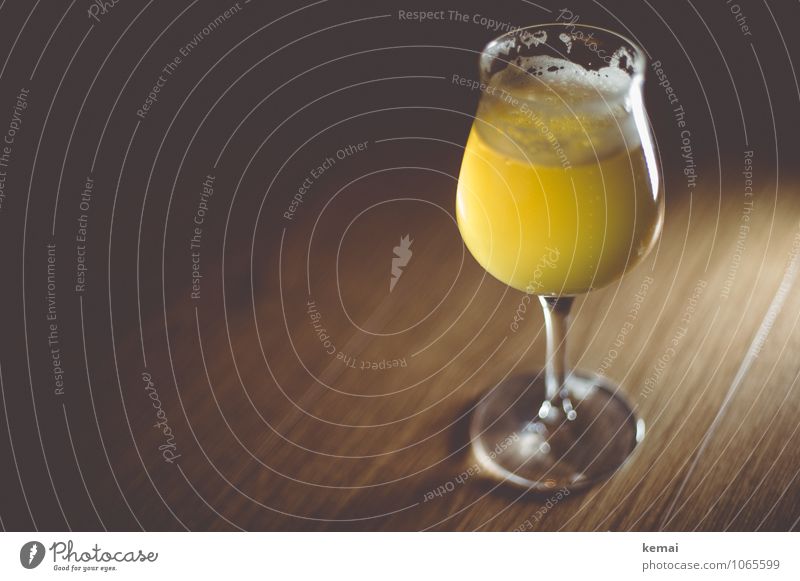 stylish Beverage Cold drink Alcoholic drinks Beer Glass Beer glass beer tulip Fresh Glittering Delicious Beautiful Yellow Calm Foam Froth Colour photo