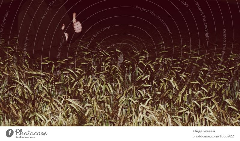 Thumbs up in the grain field OK Cool Field Grain Wheat Barley Rye Night Dark Joie de vivre (Vitality) To enjoy Hand super