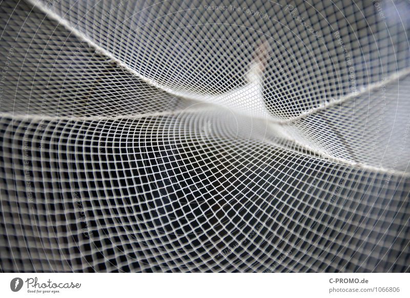 Going online 1 Fisherman Fishery Net Catch Esthetic Symmetry Abstract Fishing net Linearity Curve Swing Neutral Background Colour photo Deserted