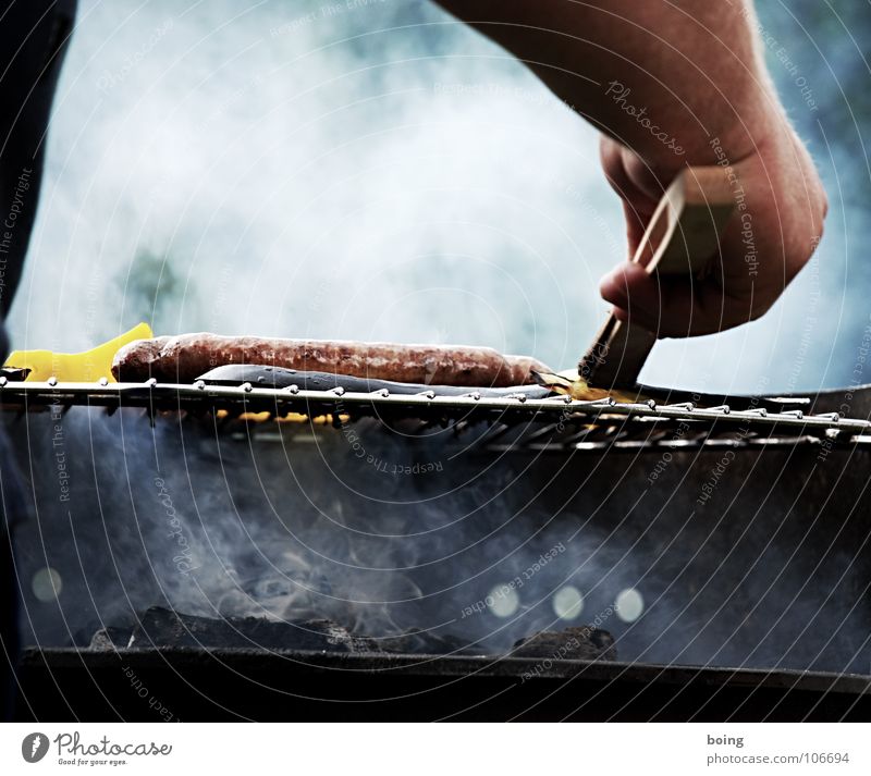 have a barbecue Barbecue (apparatus) Barbecue (event) Bratwurst Small sausage Steak Picnic Summer Vacation & Travel Leisure and hobbies Sunday Public Holiday
