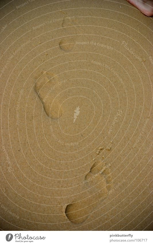 Your tracks in the sand.... Ocean Lake Waves Beach Wet Barefoot Toes Footprint Legacy Tracks Earth Sand Coast Feet Water shallow water