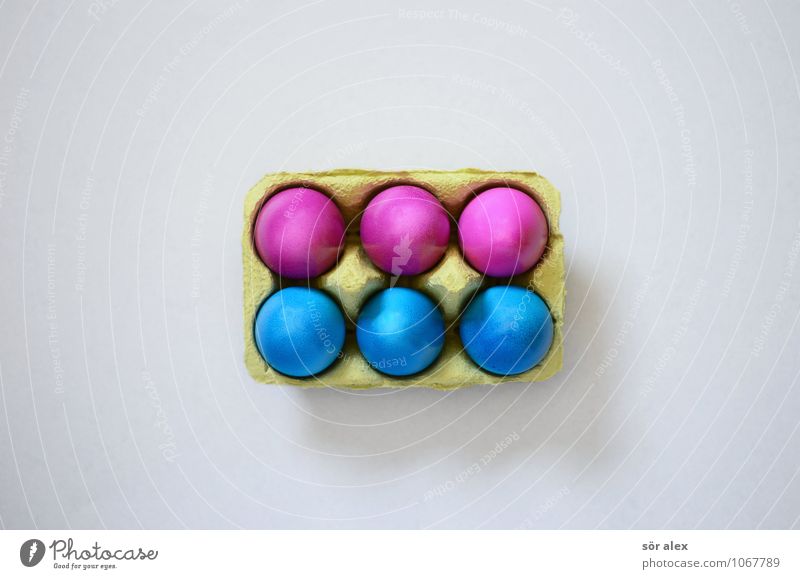 six-pack Food Egg Breakfast Feasts & Celebrations Easter Blue Pink Easter egg 6 Eggs cardboard Colour photo Interior shot Copy Space left Copy Space right