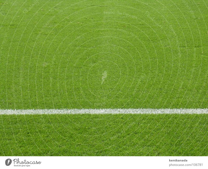 carpet of grass Sports Ball sports Soccer Sporting Complex Football pitch Spring Meadow Looking Lawn Colour photo Exterior shot Pattern Structures and shapes