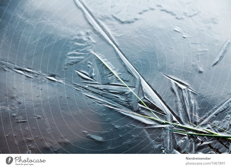 structures Winter Nature Climate Weather Ice Frost Grass Lakeside Freeze Esthetic Cold Blue Bizarre Stagnating Change Motionless Ice crystal Background picture