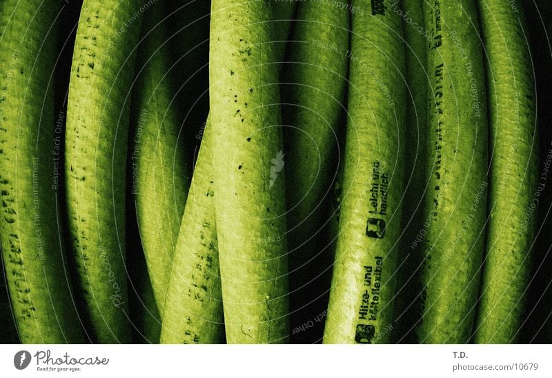 hose salad Hose Green Wet Round Photographic technology Garden Cast Detail Flexible
