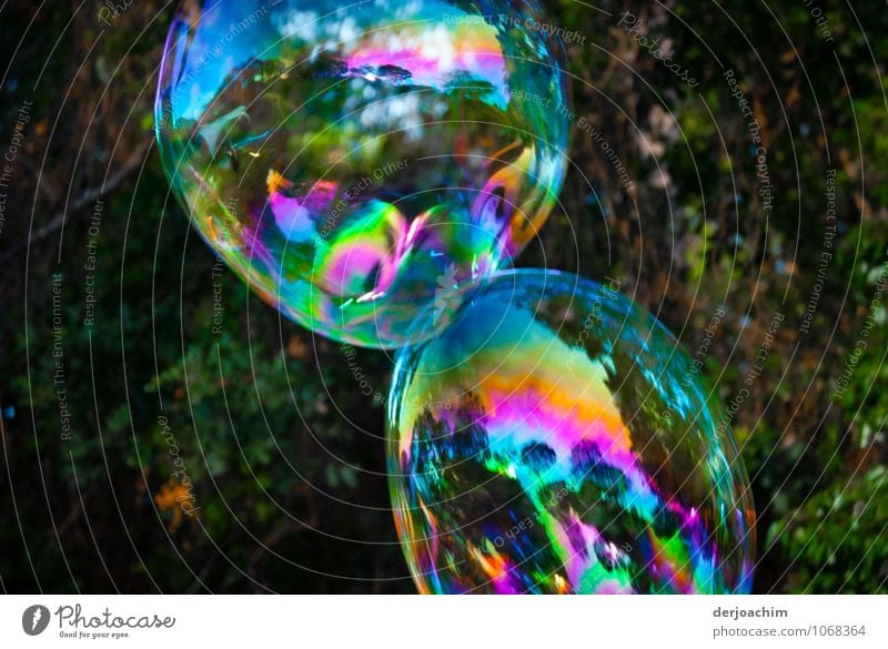 2 Big colourful iridescent soap bubbles -,Ufos on approach - Joy Harmonious Summer Drops of water Beautiful weather Park Queensland Australia Deserted Water