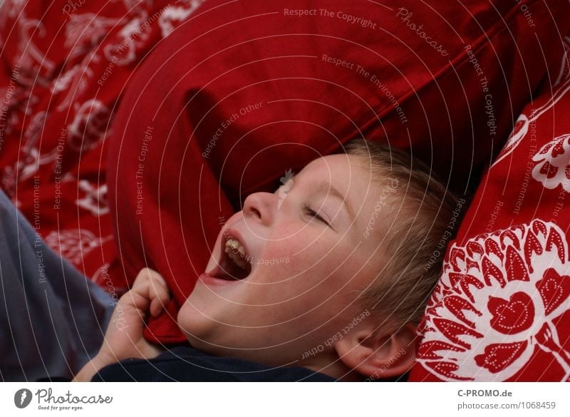 Laughing boy in bed Human being Masculine Child Boy (child) Infancy 1 1 - 3 years Toddler 3 - 8 years Bedclothes Duvet Cushion Laughter Romp Happiness luck Red