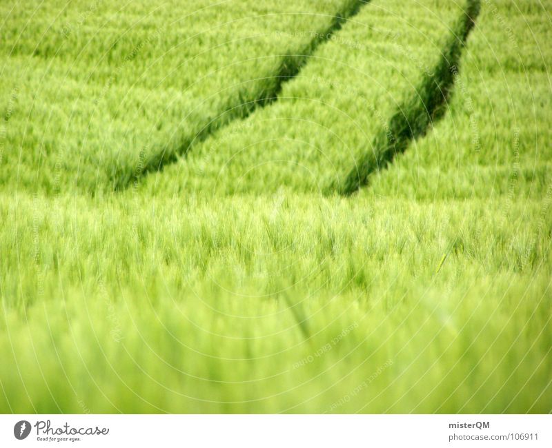 employer Field Green Far-off places Loneliness Calm Tracks Dark Foreground Background picture Ingredients Immature Germany Healthy Home country Serene