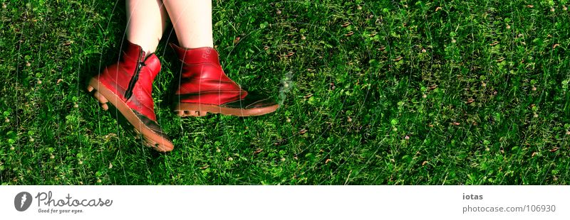 red on green Red Green Meadow Park Footwear Relaxation Occur Summer Threat Grass Break Leisure and hobbies Human being Close-up Copy Space Places Beautiful