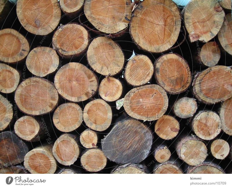 round timber Tree trunk Wood tree rings