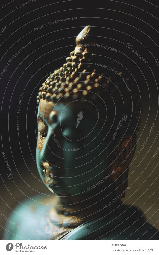 Buddha Relaxation Calm Meditation Plastic Famousness Exotic Power Belief Serene Religion and faith Figure Allegory Buddhism Colour photo Subdued colour