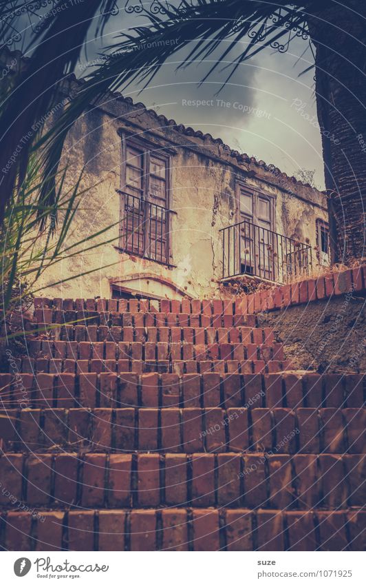 Step by step Tree Ruin Manmade structures Building Stairs Facade Old Authentic Dirty Dark Fantastic Broken Gloomy Dry Brown Moody Loneliness Stagnating