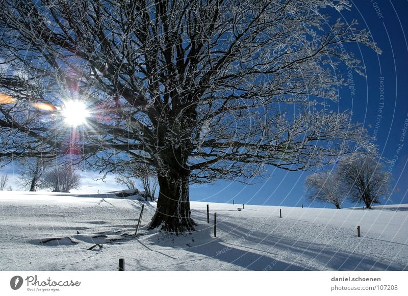 Christmas card 2 Sunbeam Winter Black Forest White Deep snow Hiking Leisure and hobbies Vacation & Travel Background picture Tree Snowscape Horizon Loneliness